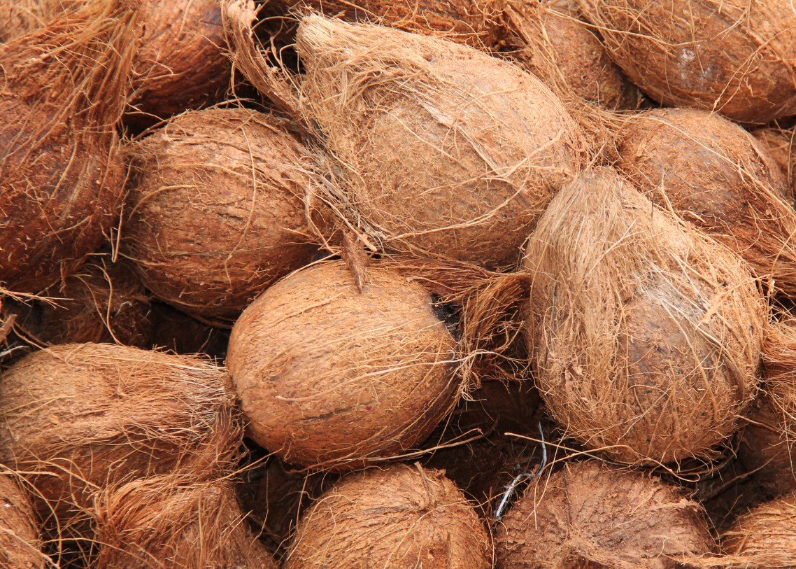 Barokah Sejahtera Amanah photo product 11