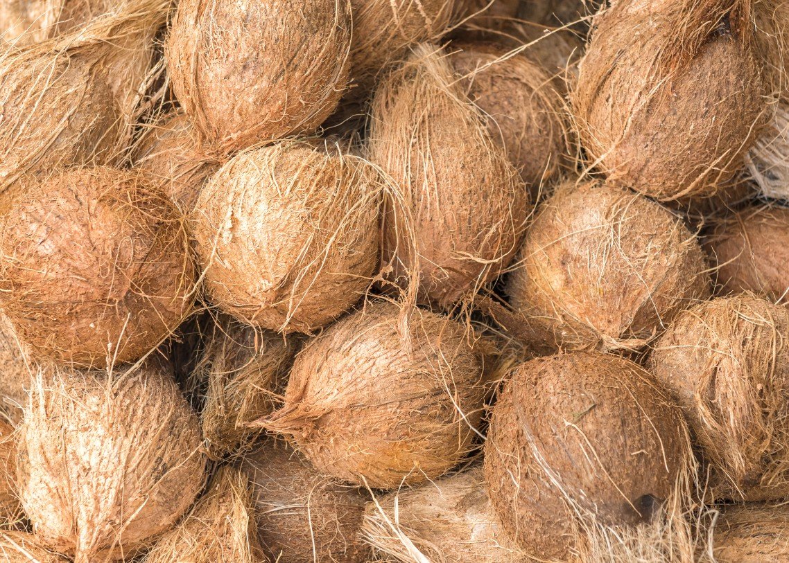 Barokah Sejahtera Amanah photo product 9